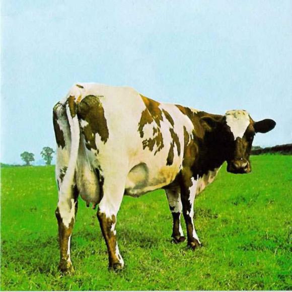 http://10000visions.cowblog.fr/images/PinkFloyd/AtomHeartMother1970.jpg